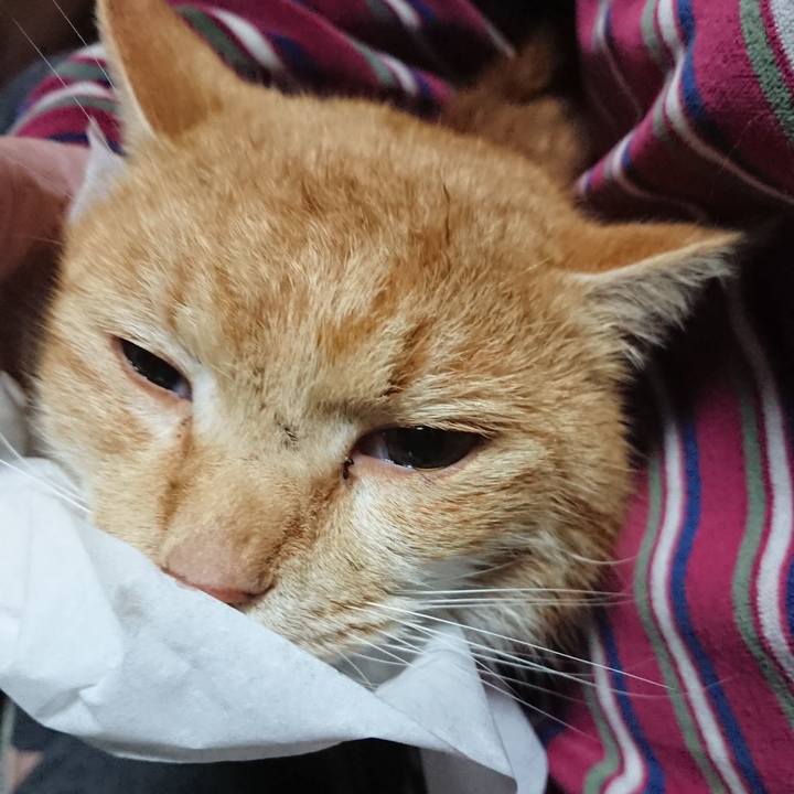 7089e180 9e66 41dd 83e9 d847b73fda85 1580471028614