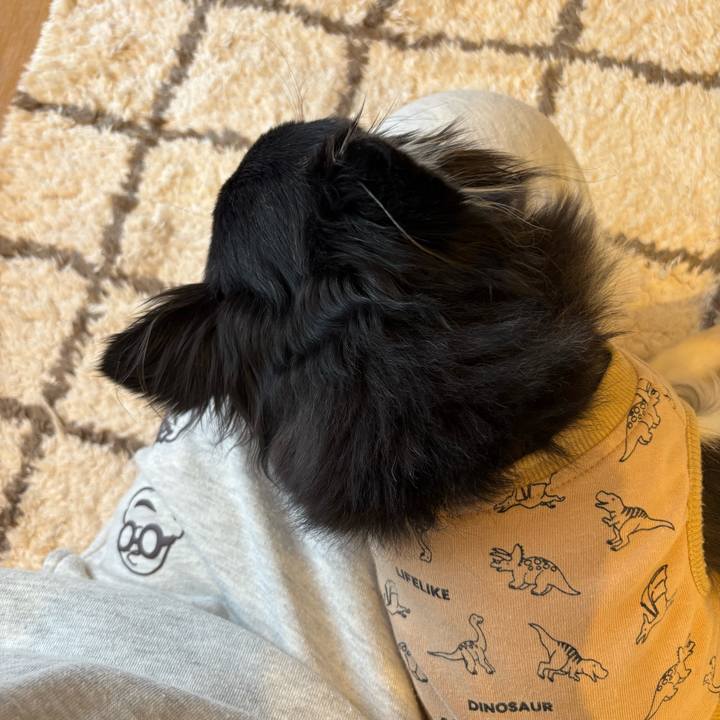 708a020e b776 443e b4dd 96b4bdc6b559 1740241808893