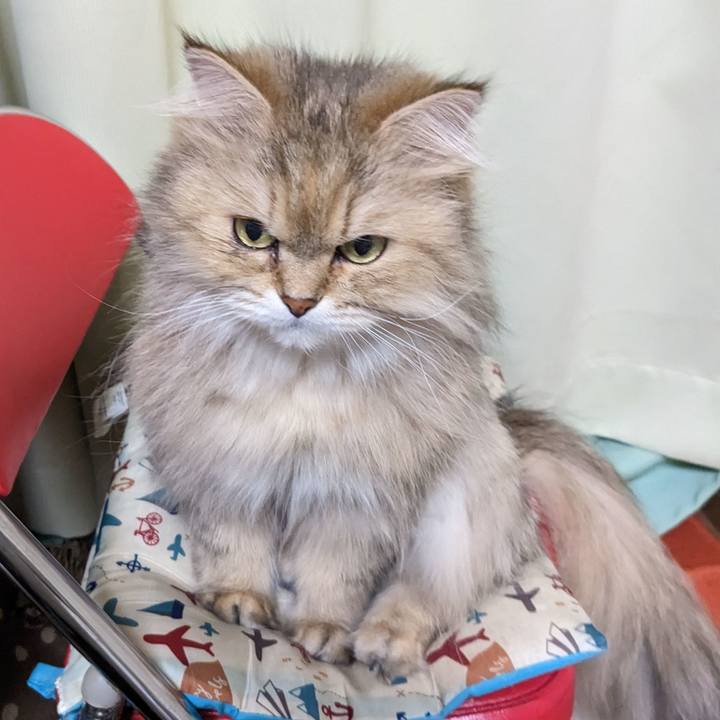 708a6af3 2d48 4c0e a172 8eb7625c3a6c 1683731425769