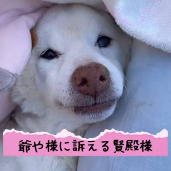 708a8a14 2a8d 47cf 87e0 111a79dc0c2f 1682607307485