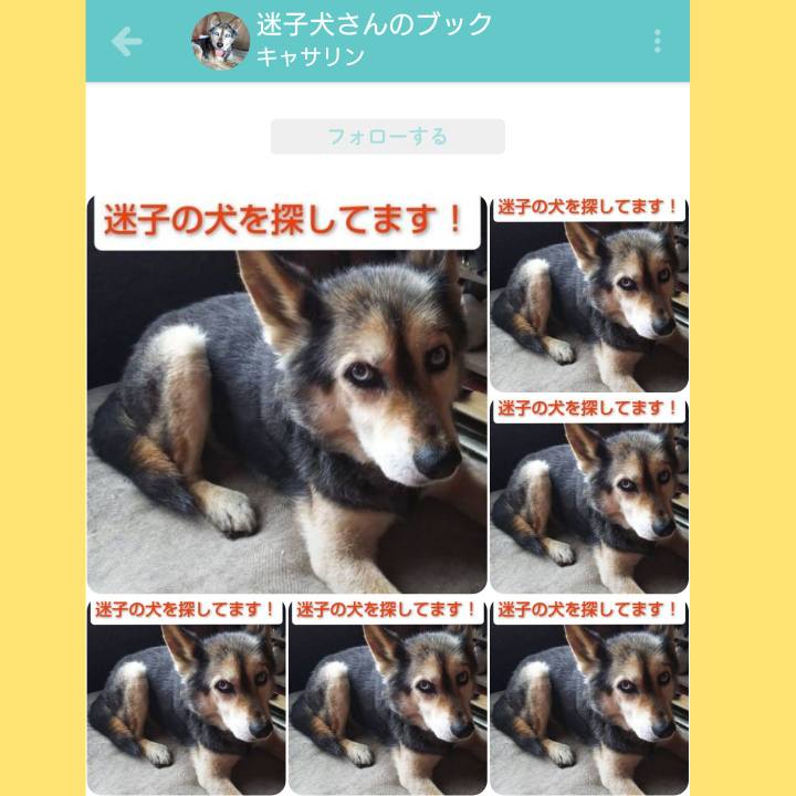 708a9ace d8ef 4a89 9c95 77a80f041bd8 1610353878791