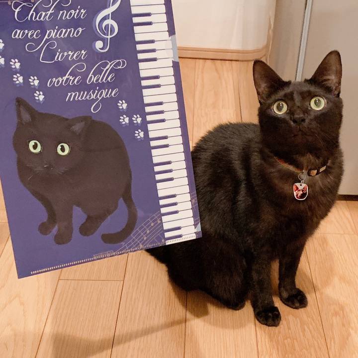 708aa953 3bf0 4a81 9c71 fdbed3f3a608 1566569759164