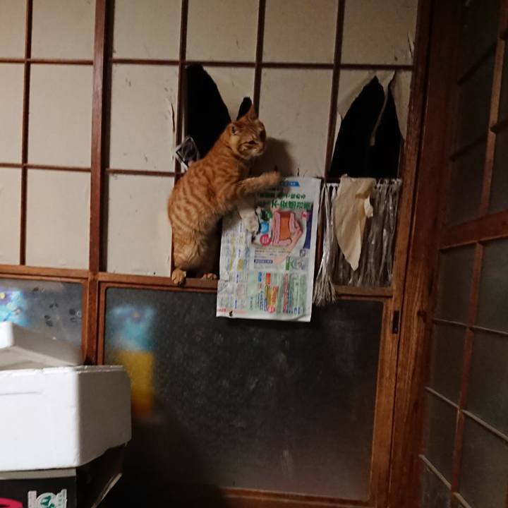 708aba8e b1c4 4365 886c 85c2fcba4002 1640514301763