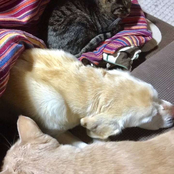 708acecf 4c1d 4fc4 ae5a 153719478303 1521721352070