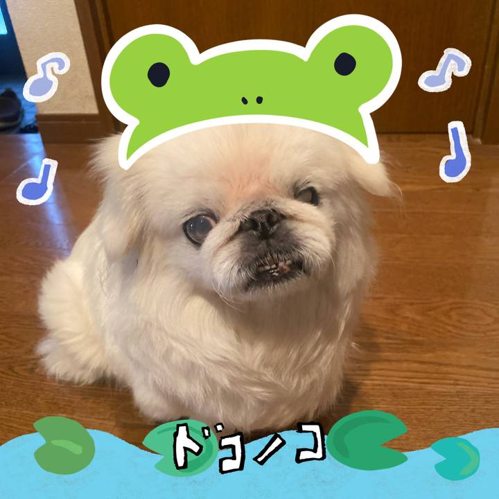 708ade03 dac5 47a1 b972 60b746b30ffd 1717570597049