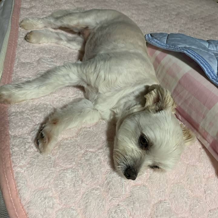 708ae635 093c 4b39 893f 863f12ecd65e 1591527466642