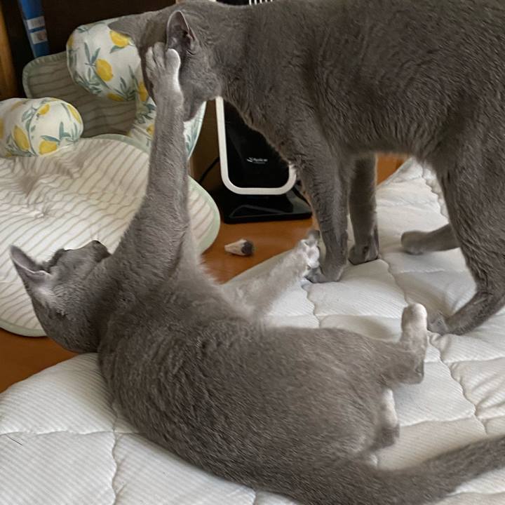 708b1574 6747 4e64 8a2c 6e7b041e6e2d 1629602419350