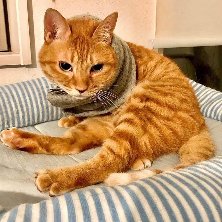 708b2a10 a61b 4fb2 abe1 863bf904d372 1593587124884