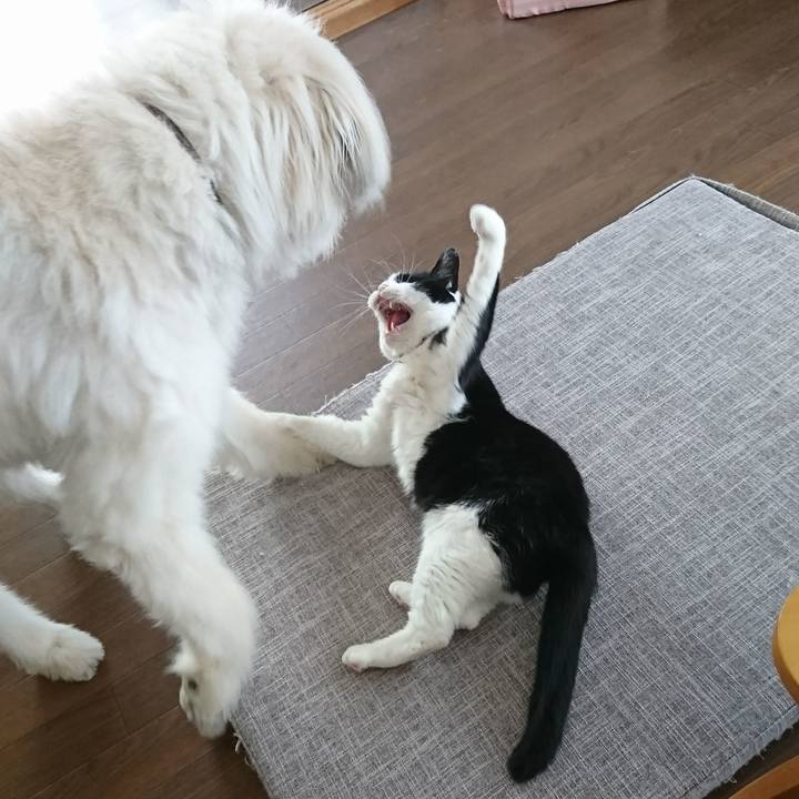 708b353c 8f8c 4ce0 868e 4fd26141153b 1599344544506