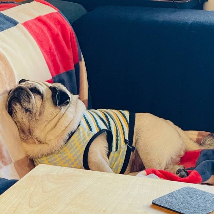 708b3f79 d7c5 478d a37b 9bc40b018522 1763517590621