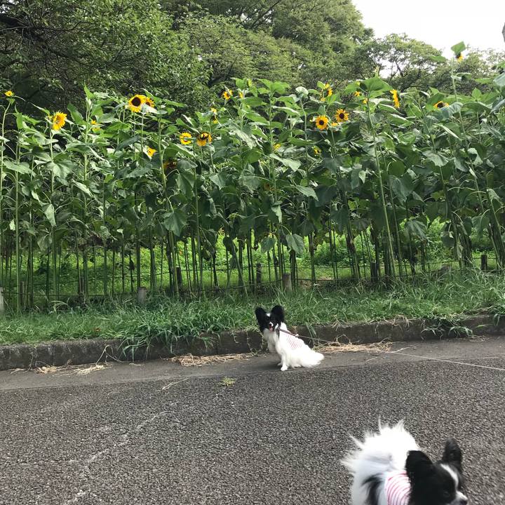 708b4ac3 83c9 4c20 9014 e91eddb6f3ce 1532910058997