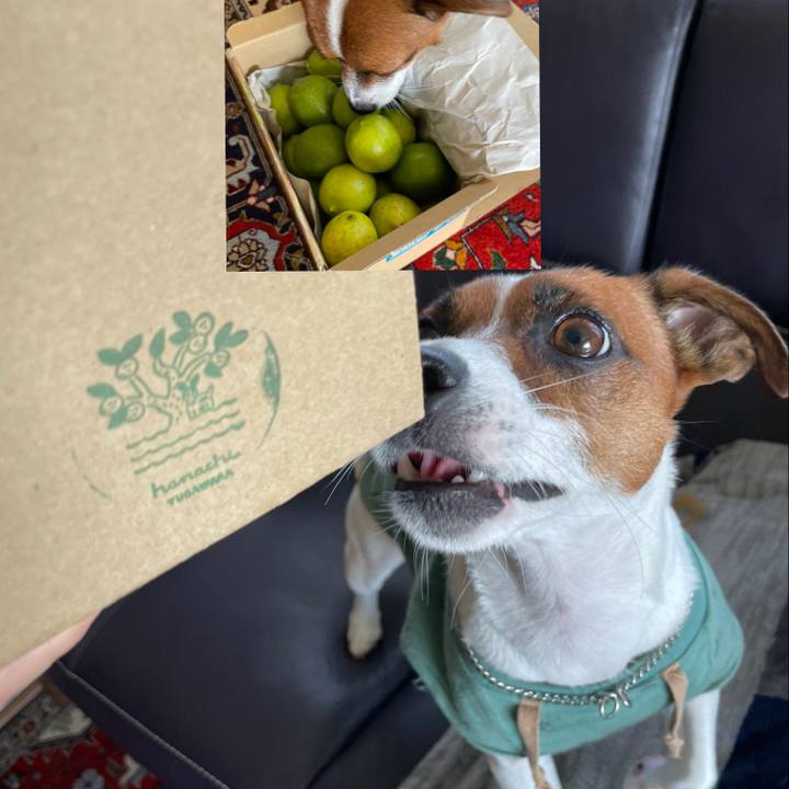 708b5202 701a 423b b1da 596b196c31b7 1633570866926