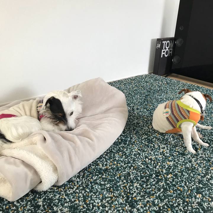 708b75fd cebd 4bf9 a3ed ef78ae37289f 1517537231958