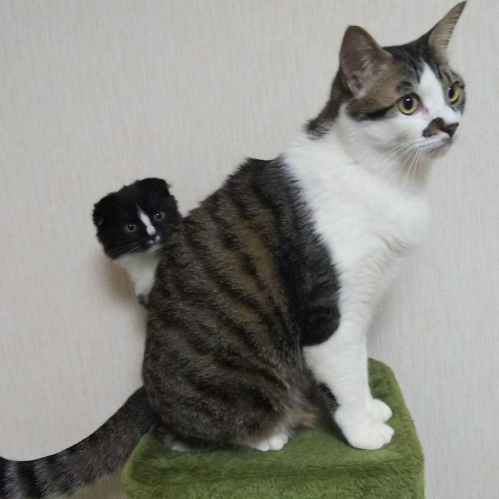 708ba97d 3cec 4cb7 88b3 cc5904124622 1640612513823