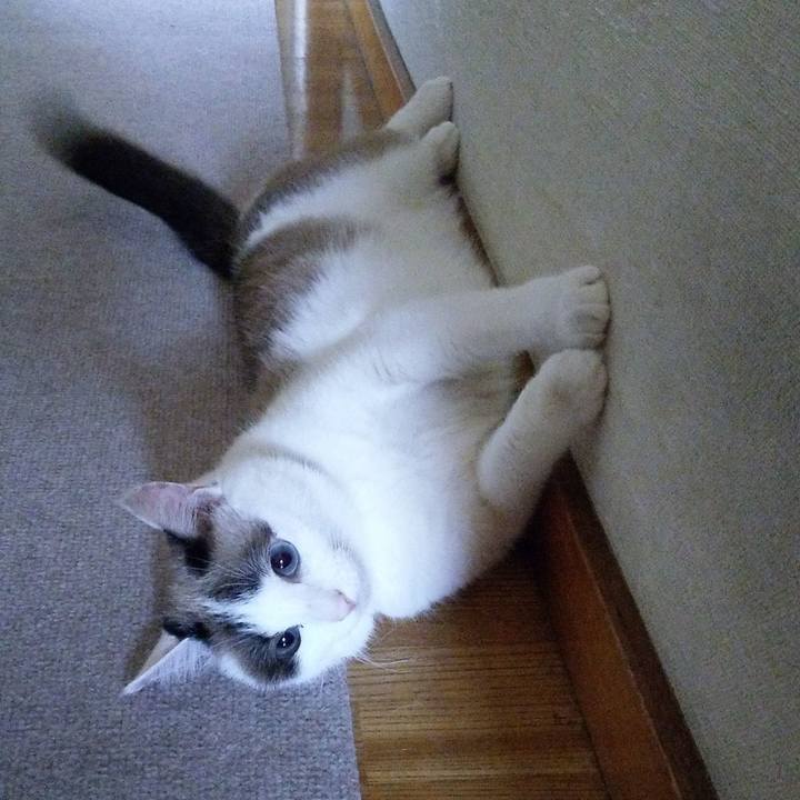 708bbdde b907 42a2 9a77 2696b8bd75a9 1625615566007