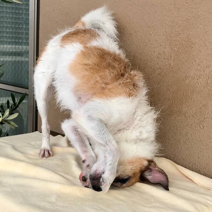 708c2221 9a2f 4cdf 90a8 0f76b410d517 1596949808127