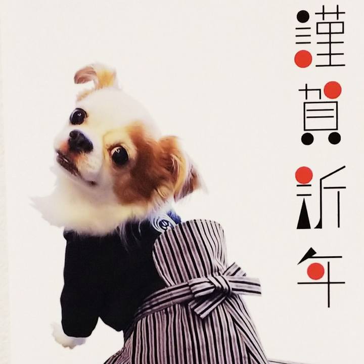 708c2326 6cb0 4e05 8639 75101a370316 1767223722417