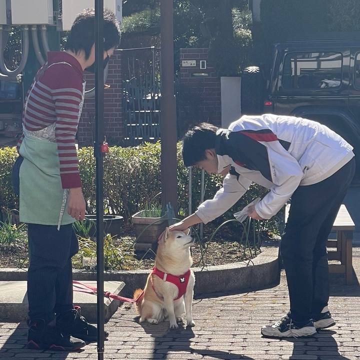 708c7c8f a808 4478 bd84 ce4b62a20208 1737932272522