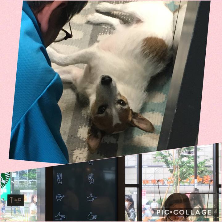 708c8de6 c420 4c27 b181 f4a604c62a31 1593386947922