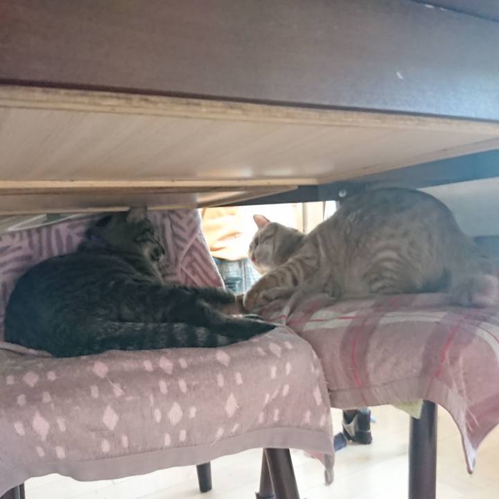 708c9d2c e3e1 4580 a53b eedda1276428 1652227006199