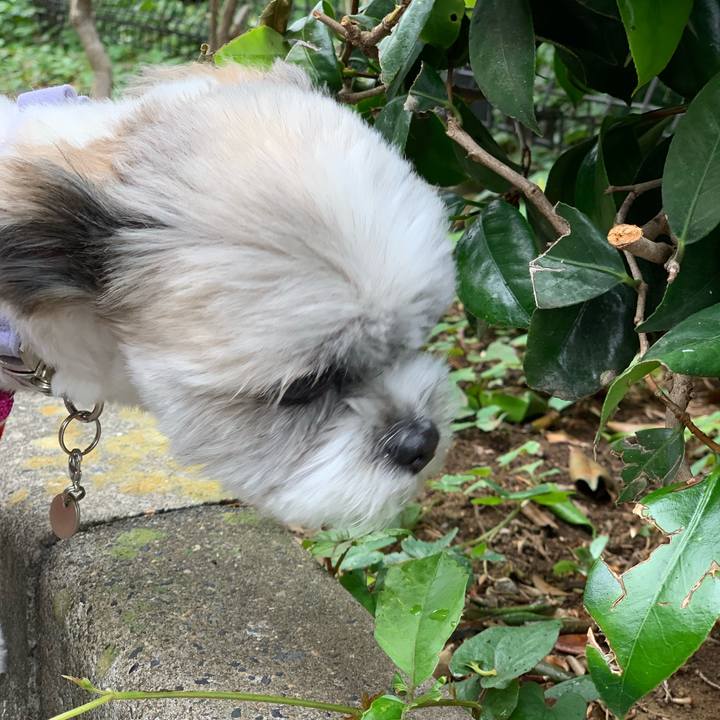 708ca836 b349 48ba 9eb9 95a19444ea91 1561003344899