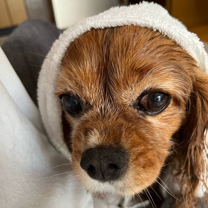 708cc317 1e5d 4dbf a92e 453c19d5908a 1722033798359