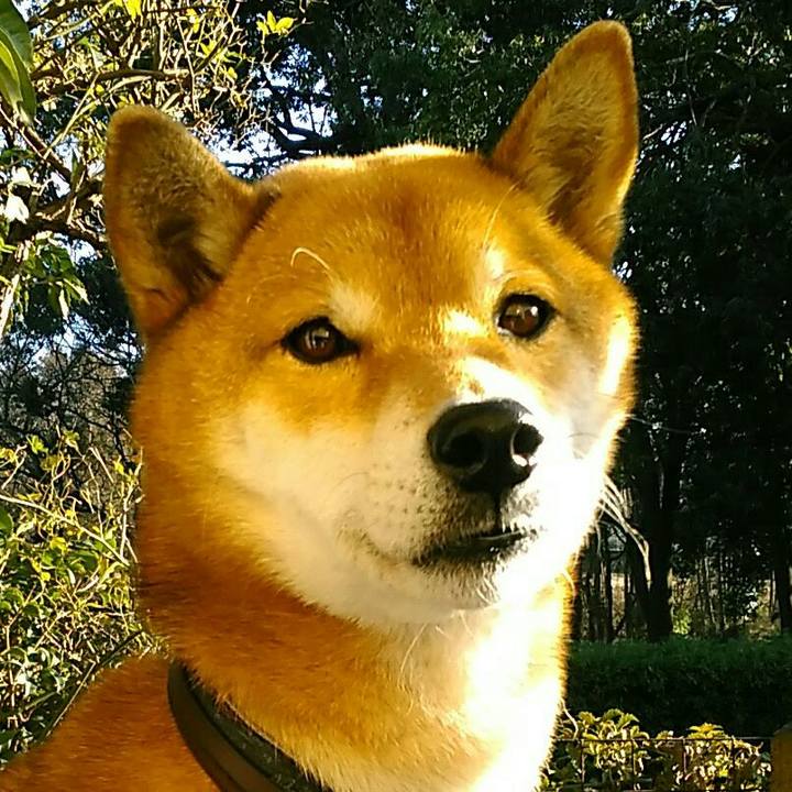 708cca3c 3805 405e ba28 2fec067fd66d 1579586494616