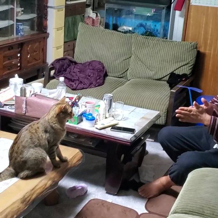 708ce054 86e1 44da 8153 ab31b0e563ed 1704638371009