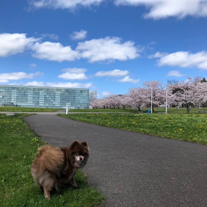 708ceed4 4627 4f5b a762 dded441791da 1588677849462