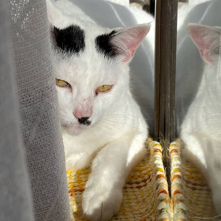 708d1eb9 3a05 4f4a 8b49 3e94317be73e 1580274009270