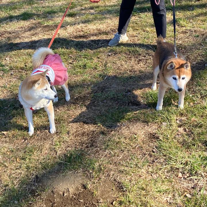 708d572c c106 4d96 8014 1912895dbfb5 1738831037686