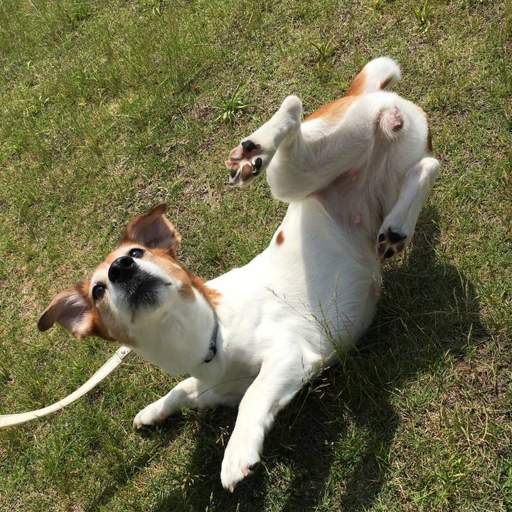 708d70f2 ccd6 4030 8450 212416349e1b 1528810324935