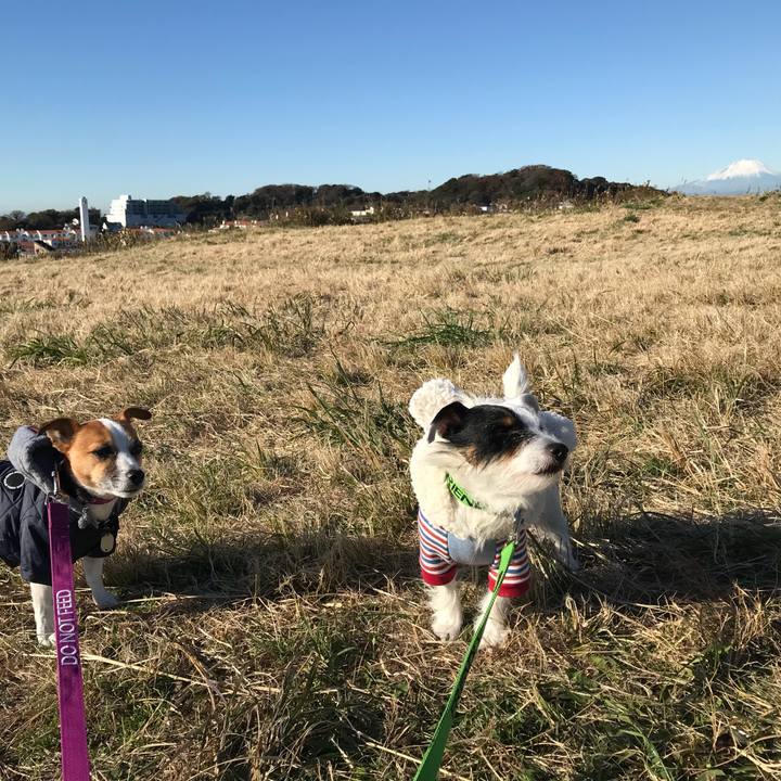 708d73e3 fb4a 4273 b3f9 8e0820a127af 1512518530156