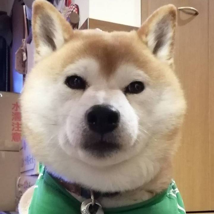 708da156 7801 4418 833f d3c87a560b25 1587980014697