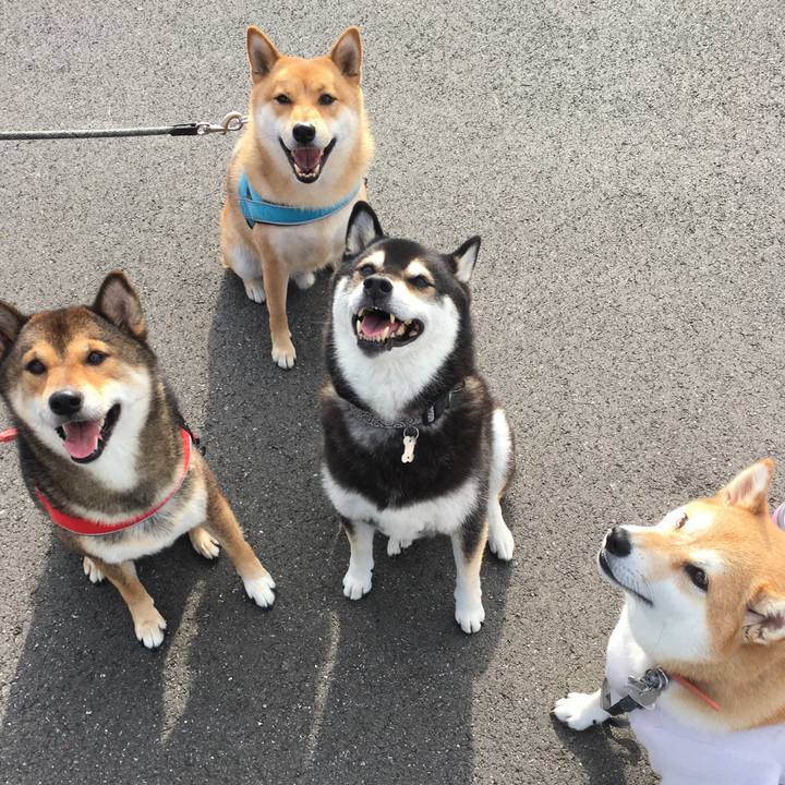 708dc4ba ddc9 45df bc66 c6279bbc9031 1539914314214