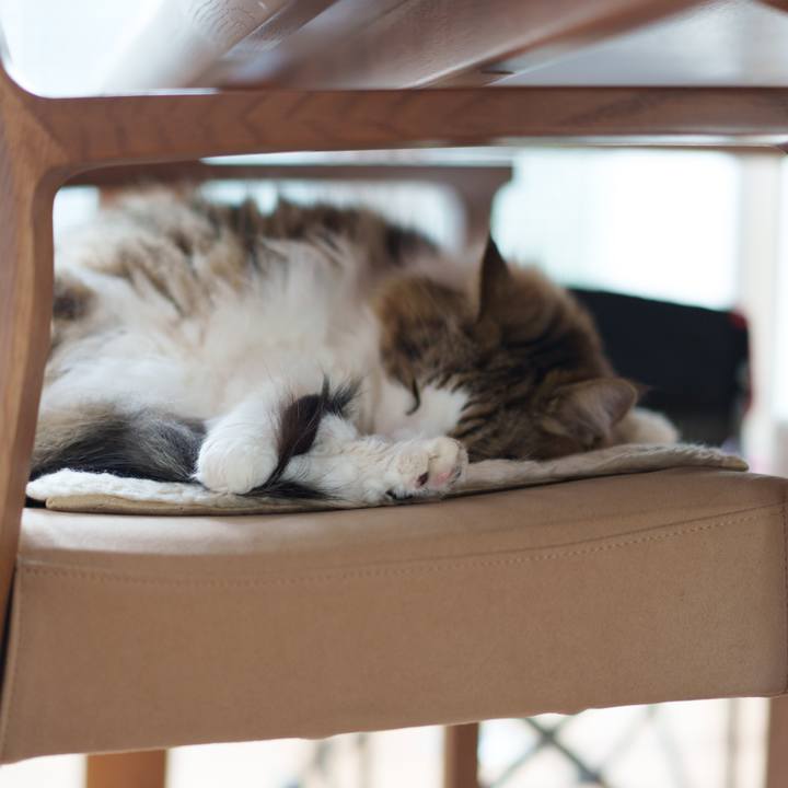 708dc920 4415 4e54 917a ae30b587e3fb 1747119268986