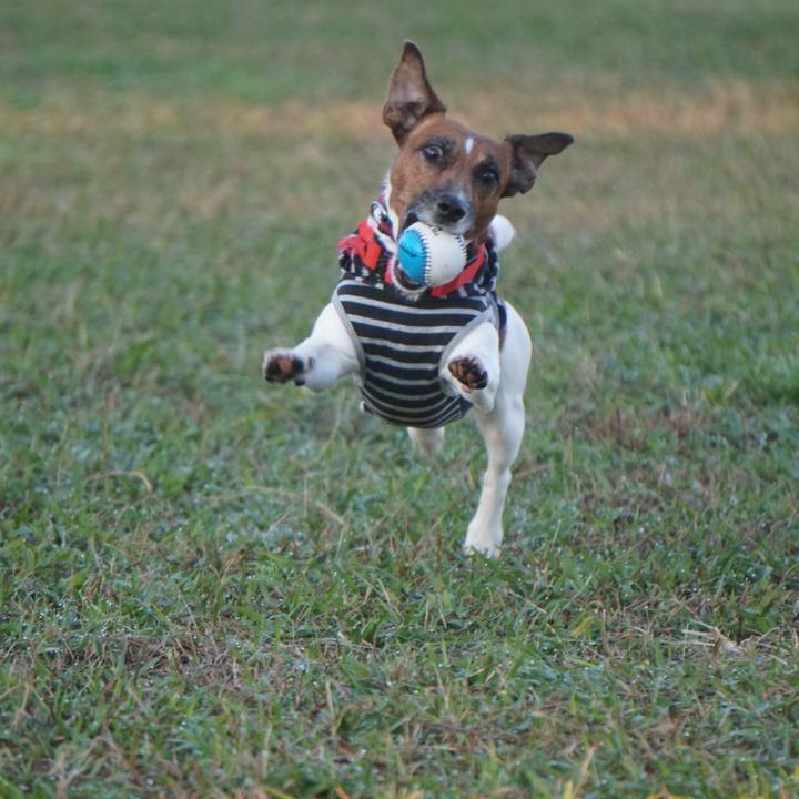 708dda14 f1c0 4dfc b74e d31f8e6058f6 1542581378528