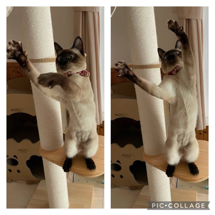 708de91a a815 420a 98de ccba7745e4f2 1710918921330