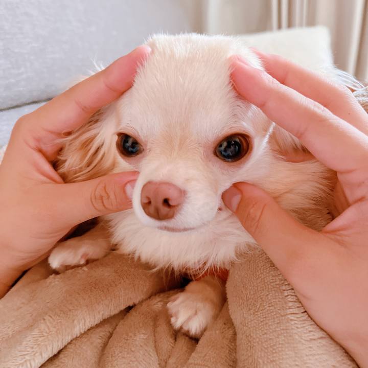 708e00cc 31f7 4796 a0f3 9816b9a21694 1659360071289