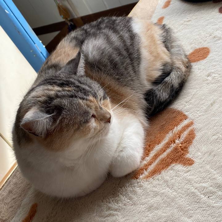 708e4743 f218 4709 9195 0132105ec43d 1584075122872