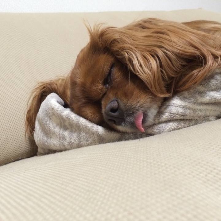 708e8f6d f23f 433b beea 0433d3691024 1510664809192