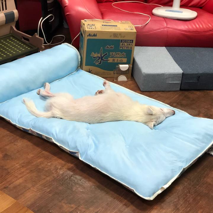 708ea3c6 5397 4a35 b0d0 b78b8ee3de04 1723864517140