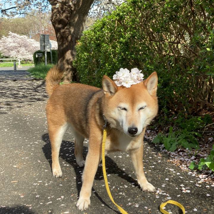 708eb1f1 dc9a 46dd a2d6 0ebb965d5697 1648798770395