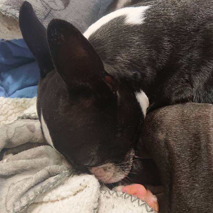 708ebc52 02c2 4e76 87c5 e0527f7ff2eb 1641882468121