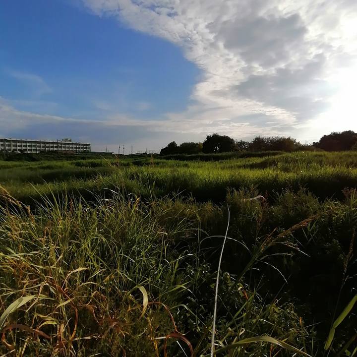 708ec5ce 35ed 4011 85ca 19aba041d783 1596974928061