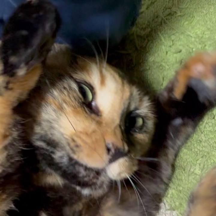 708eca5f df58 44bc 87cc 47eafda9bbe4 1764105061648