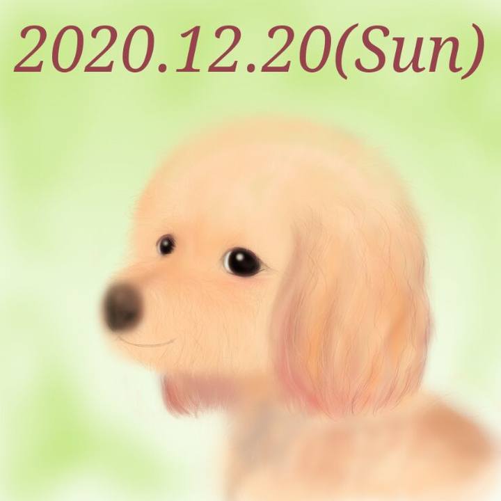 708f1c21 d601 453d 815d 03c09b702aee 1608429117333