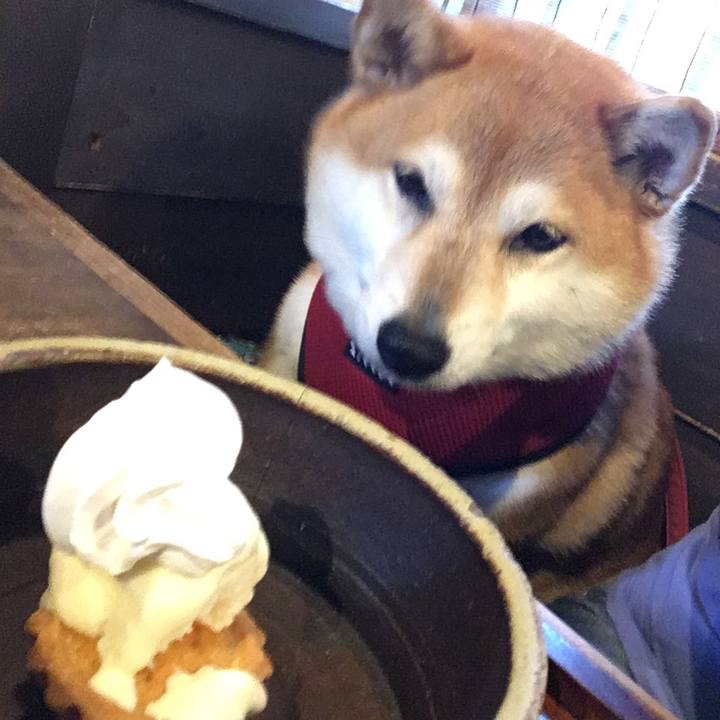 708f3121 49f9 4868 bde8 d63baddd6f1f 1627461365398