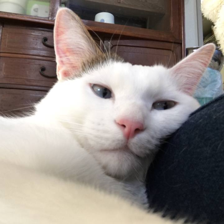 708f49bb 7b9b 4df7 b72f 72f396f03d32 1514967405966