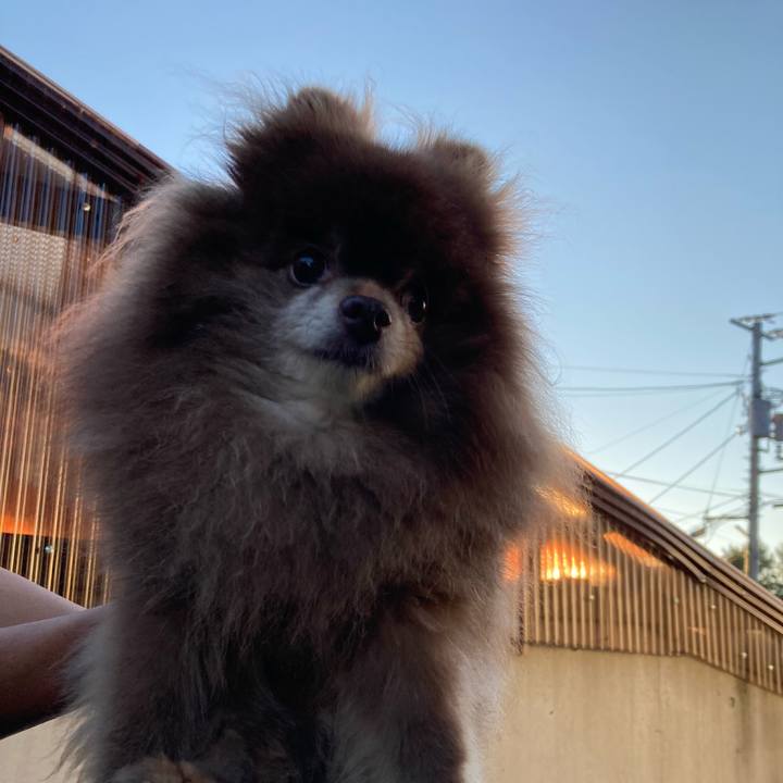 708f6f2d db6c 48f0 a185 46d3f1a7080c 1727583851012